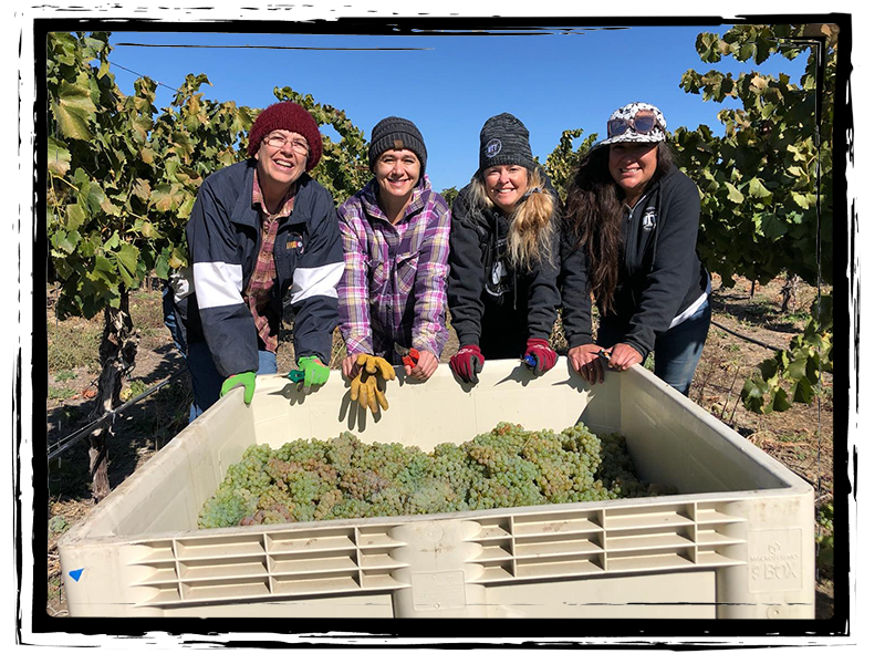 women standing around bin of grapes