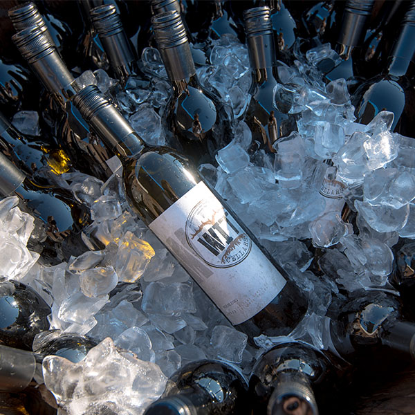 Wine bottles chilled on ice