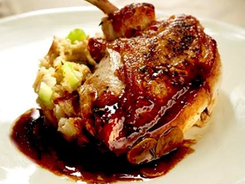 Roast duck with sauce and stuffing on plate.