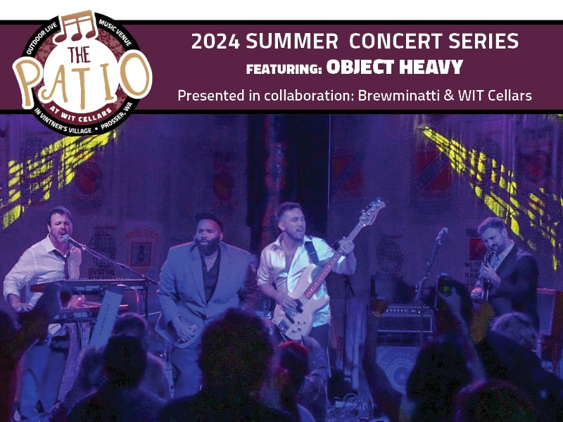 Band performing at 2024 summer concert series.