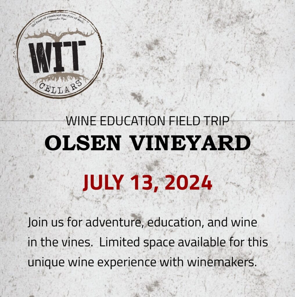 IG_July-fieldtrip05 Wine education trip at Olsen Vineyard, July 2024.