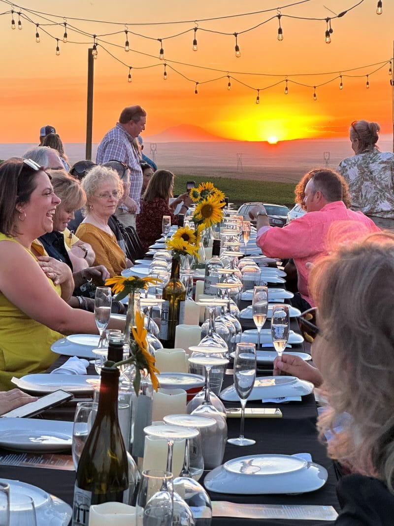 Outdoor sunset dinner party with sunflowers and guests.