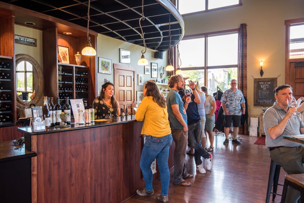 People enjoying wine tasting at vineyard.