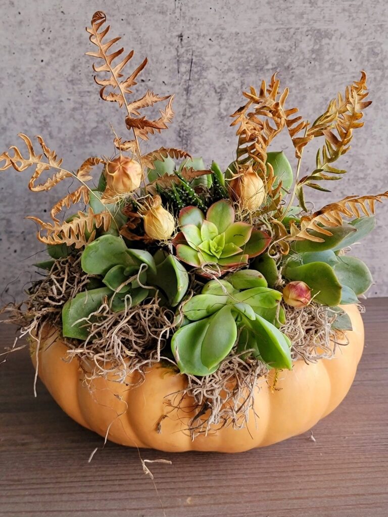 Succulent arrangement in pumpkin with ferns and moss.