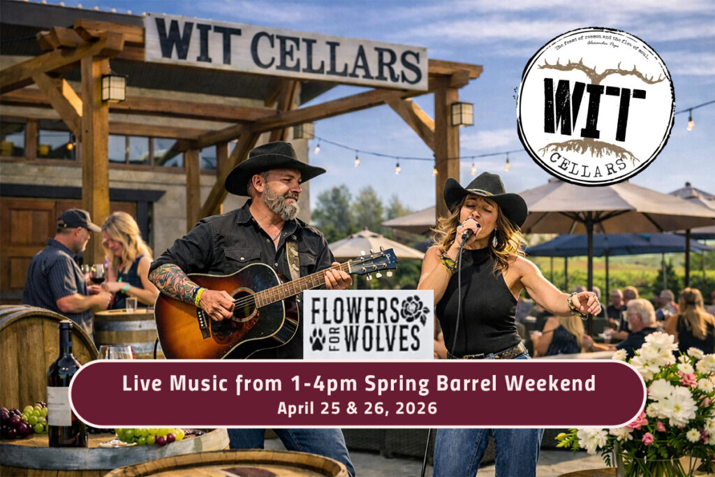 Outdoor live music at Wit Cellars event.