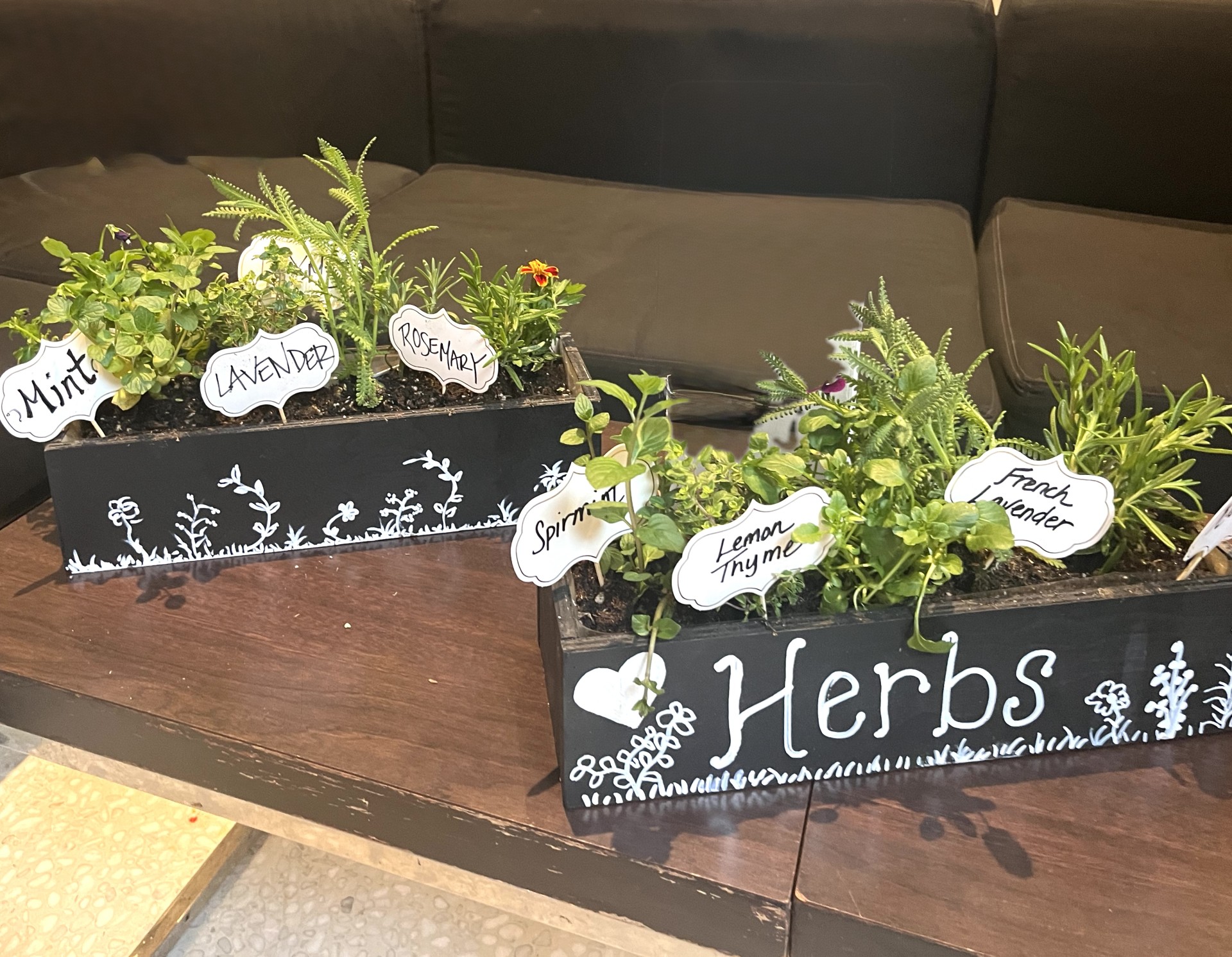 Herb garden with labeled mint, rosemary, lavender.