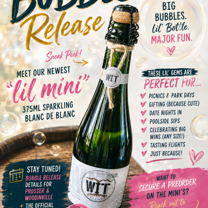 Mini sparkling wine bottle bubble release promotion