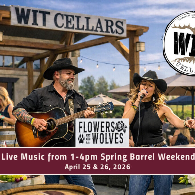 Outdoor live music at Wit Cellars event.