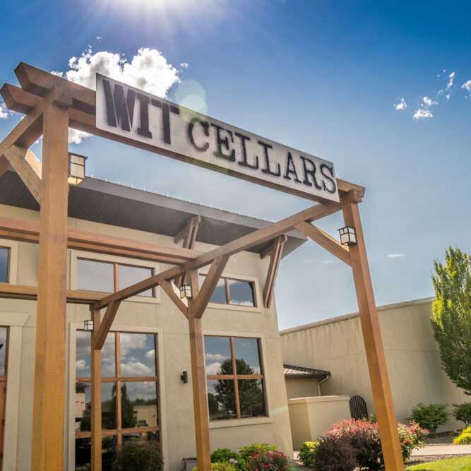 WIT Cellars-08187-2 wit cellars 08187 2