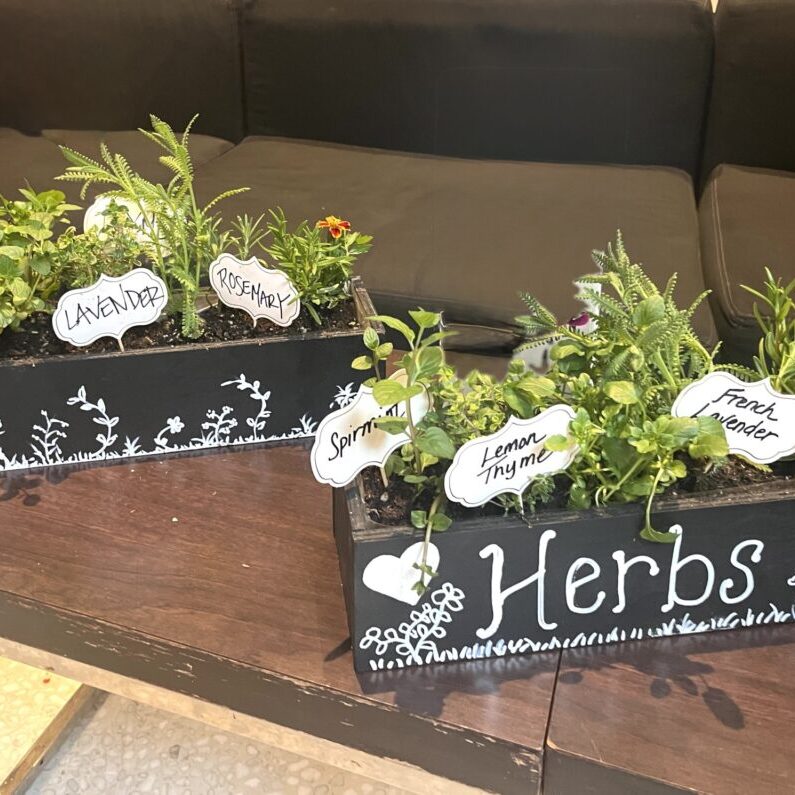 Herb garden with labeled mint, rosemary, lavender.